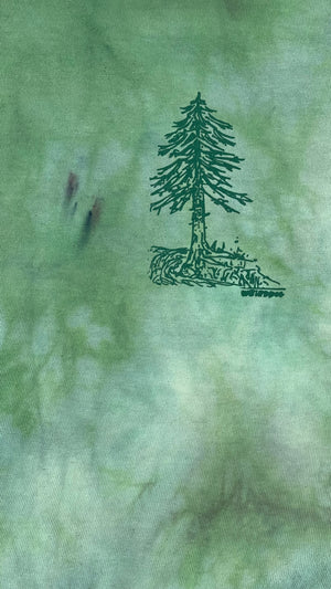 EVERGREEN/WATERFALL