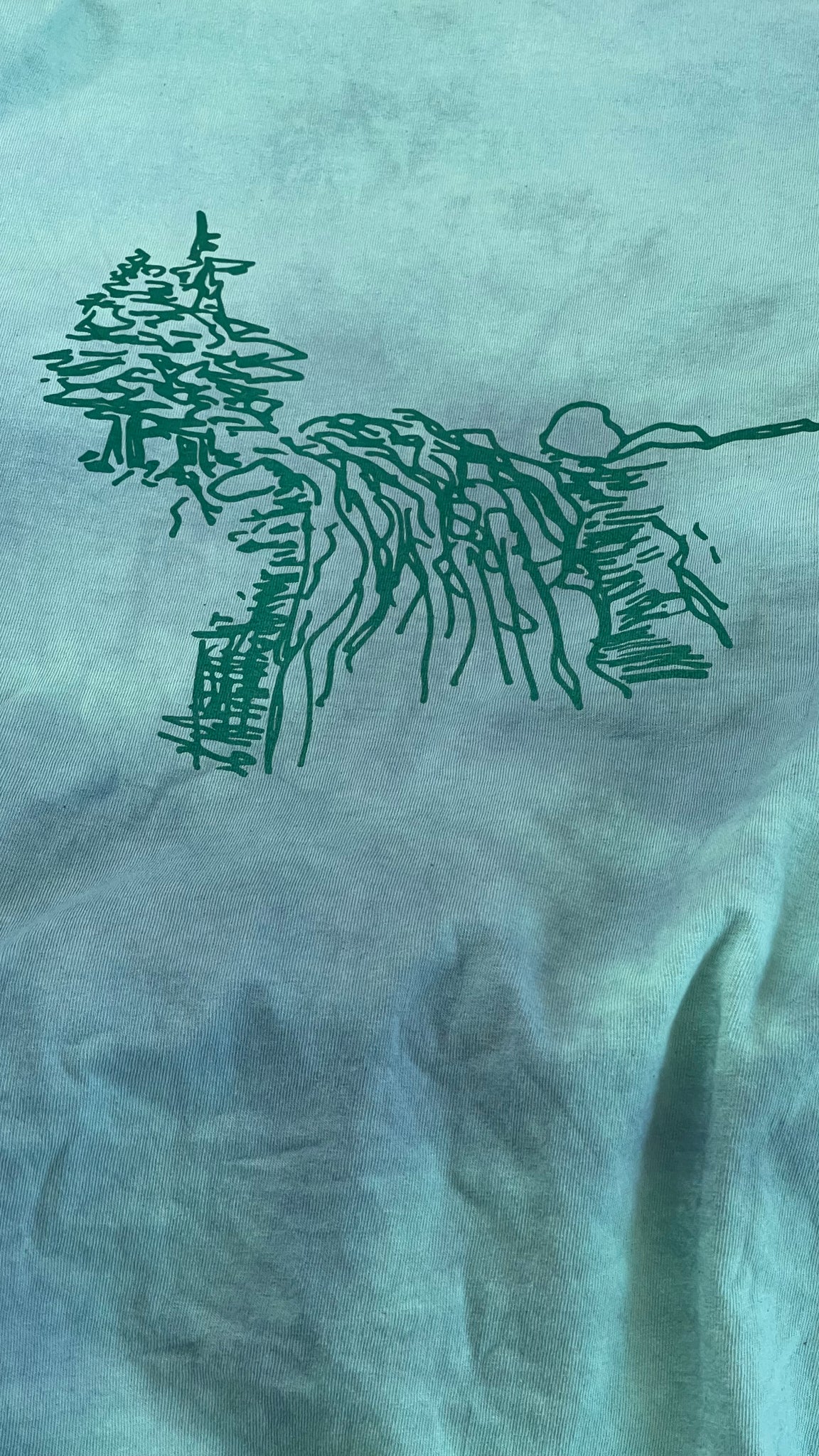 EVERGREEN/WATERFALL