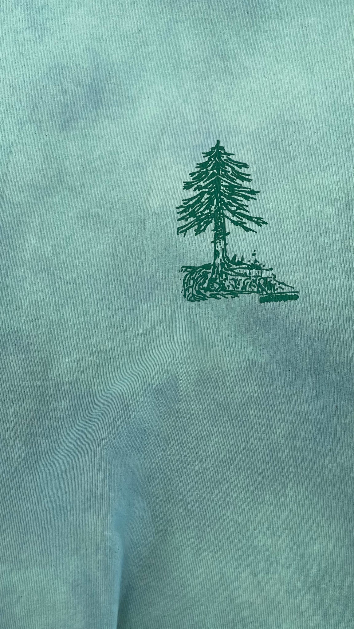 EVERGREEN/WATERFALL