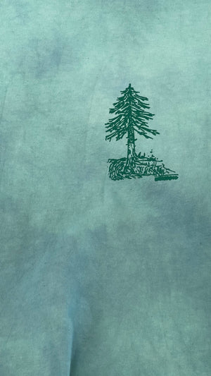 EVERGREEN/WATERFALL